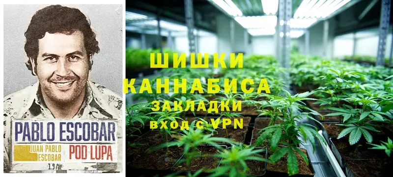 Марихуана White Widow  ссылка на мегу ссылки  Лодейное Поле 